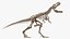 tyrannosaurus rex skeleton fossil 3D