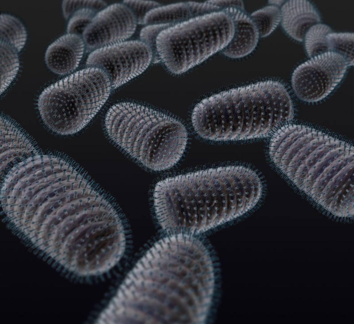 modelo 3d Virus de la rabia - TurboSquid 1326203