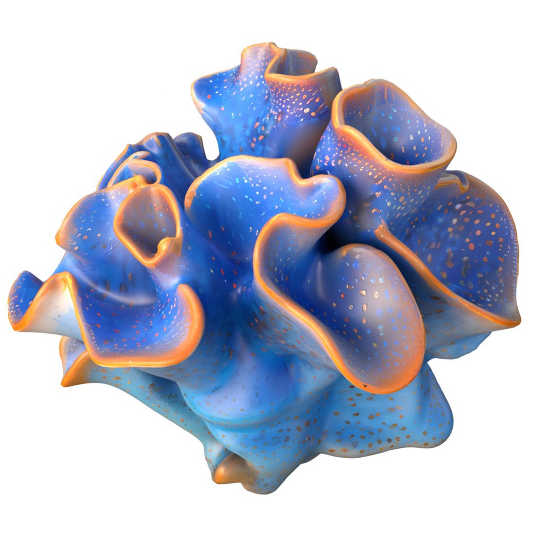 Coral Reef 21 3D Model - TurboSquid 2456410