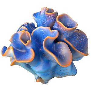 Coral reef 21 3D model