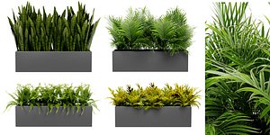 Collection plant vol 410 - blender model 3D