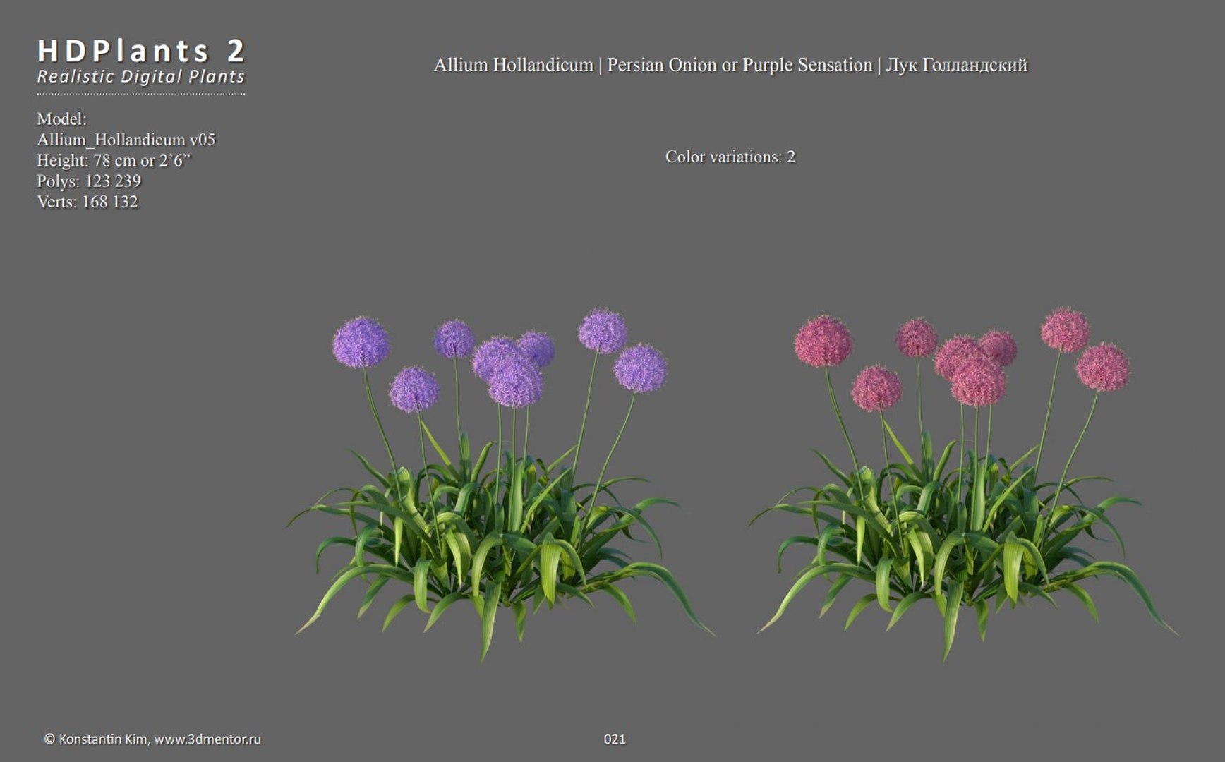 3D XfrogPlants HDPlants 2 https://p.turbosquid.com/ts-thumb/Xv/LhZkNW/9M/allium2/jpg/1619202109/1920x1080/fit_q87/d7d180e8ee719078d2c79c04e1c0779031ba9fc0/allium2.jpg