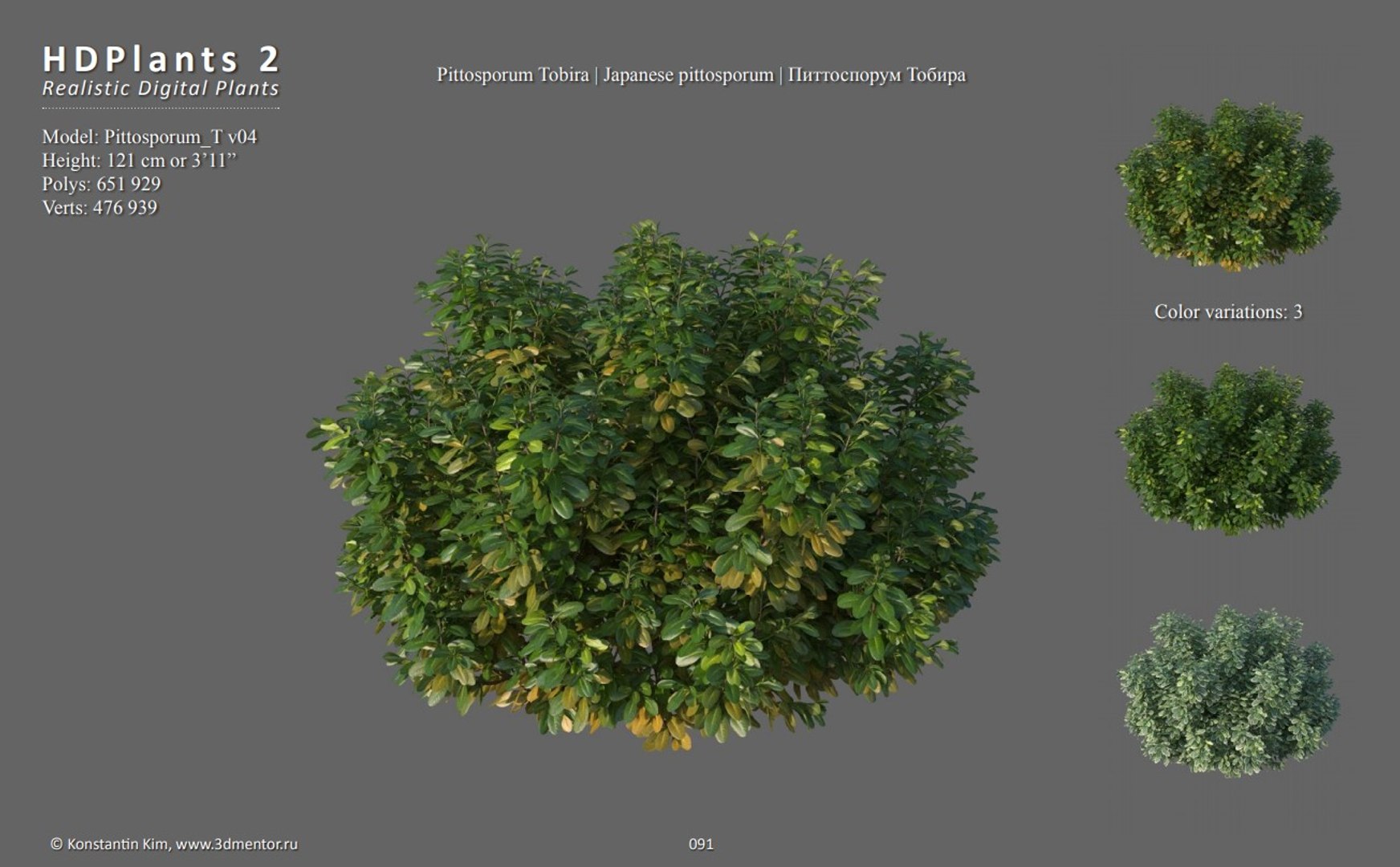 3D XfrogPlants HDPlants 2 https://p.turbosquid.com/ts-thumb/Xv/LhZkNW/V4/pittosporum/jpg/1619202111/1920x1080/fit_q87/3bebba3a6088f7865cbac33d2b5e0b502cbaf14c/pittosporum.jpg