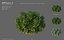 XfrogPlants HDPlants 2