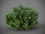 XfrogPlants HDPlants 2
