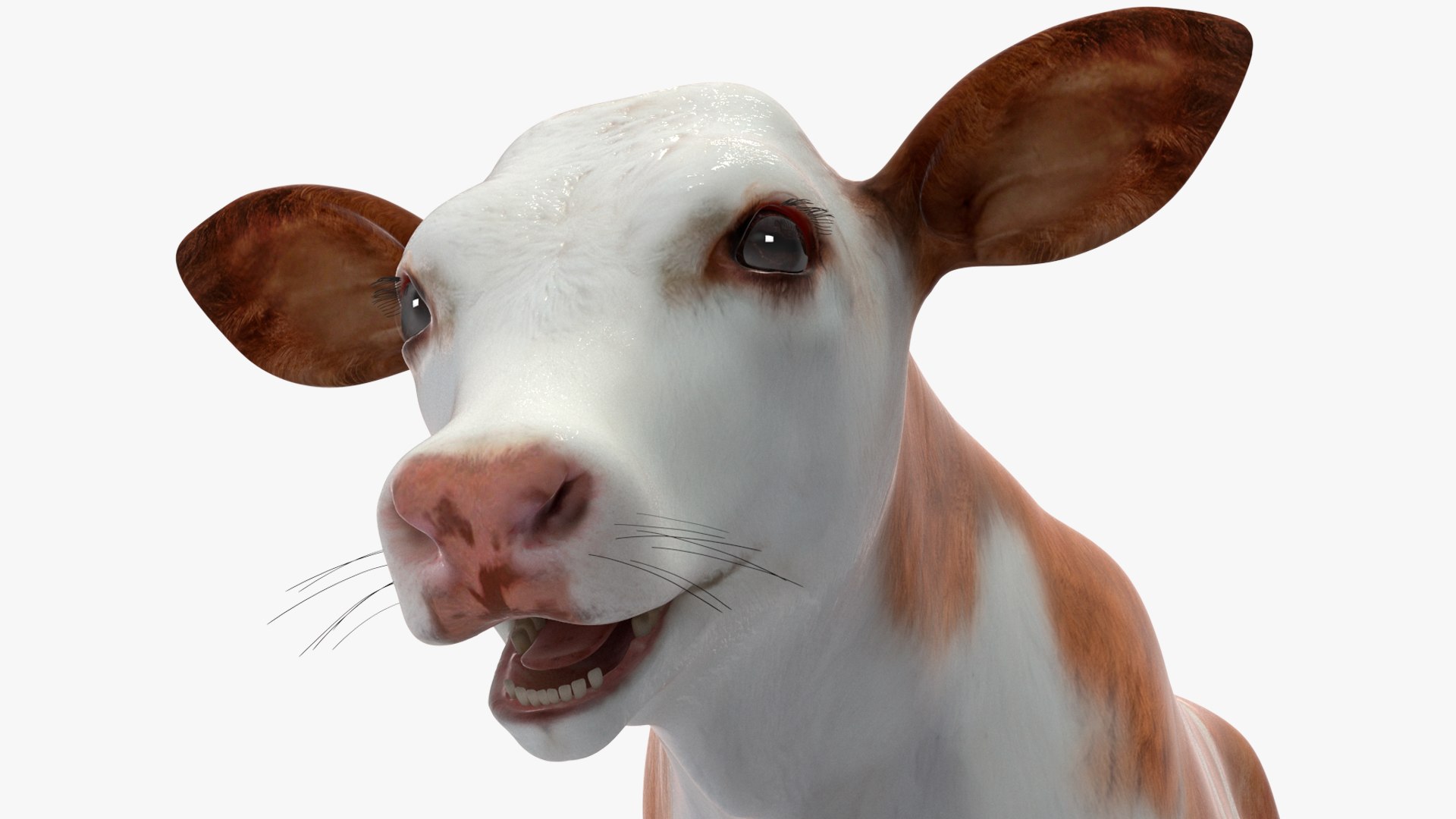 Cow Calf 3D Model - TurboSquid 2258997