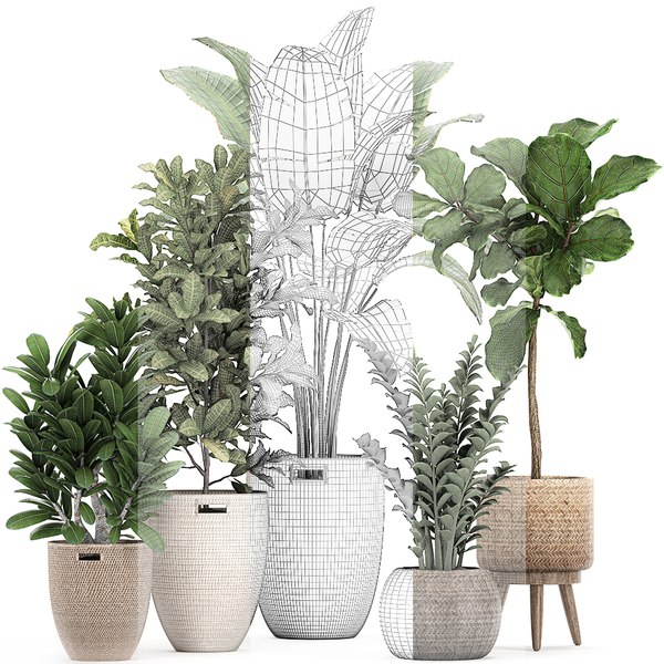 3D ornamental plants rattan basket model - TurboSquid 1659065