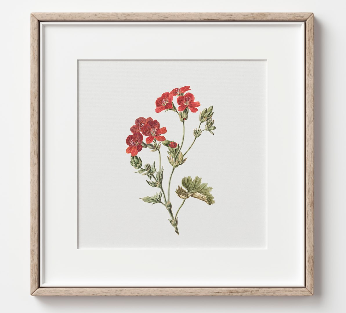 3D Picture Frames Set-627 https://p.turbosquid.com/ts-thumb/Xv/QyYLVB/2t/1frame/jpg/1768037114/1920x1080/fit_q87/e4f6dc8c14e3a06d42569b6892bda808eef8f76c/1frame.jpg