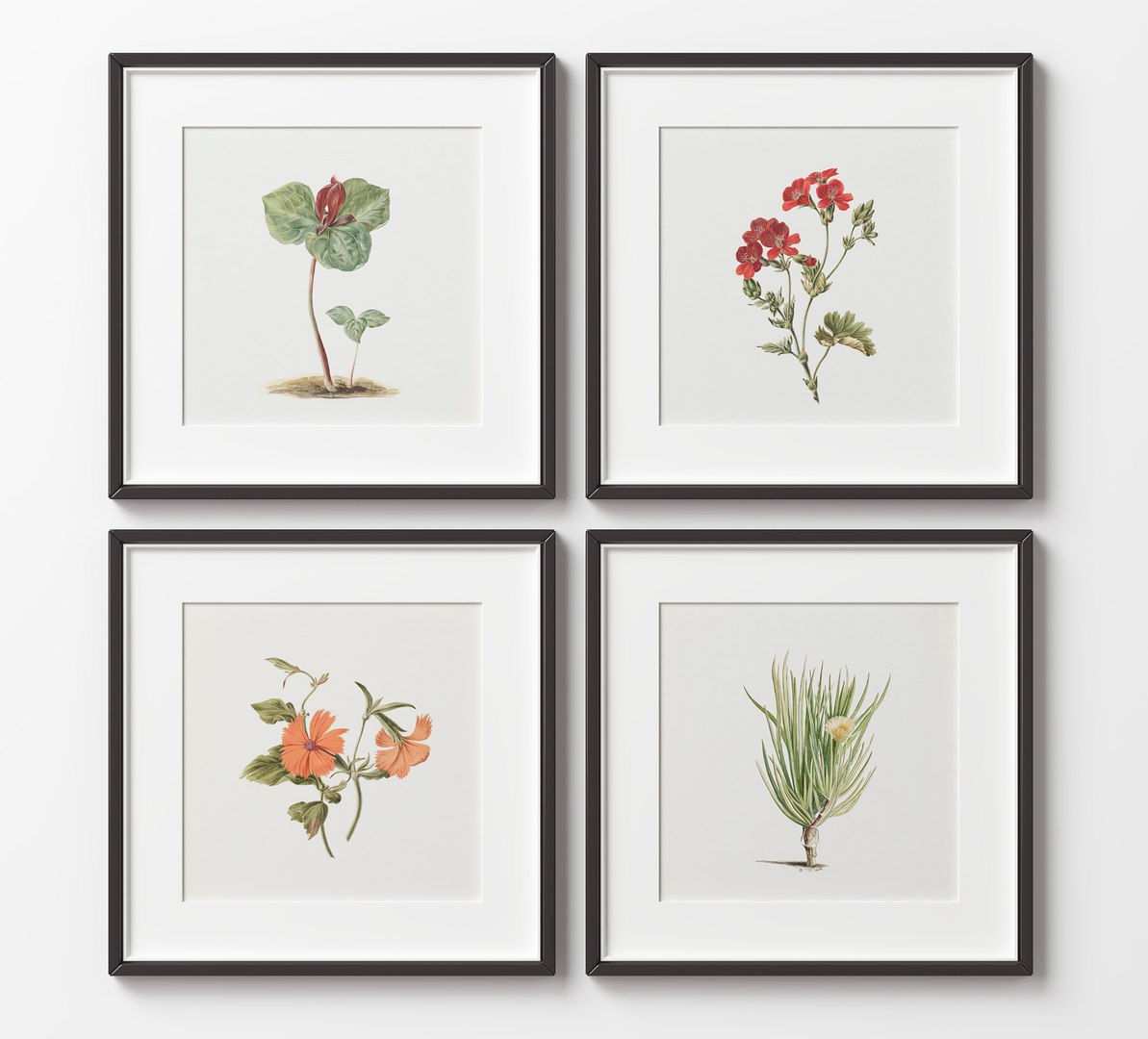 3D Picture Frames Set-627 https://p.turbosquid.com/ts-thumb/Xv/QyYLVB/yC/black/jpg/1768037117/1920x1080/fit_q87/6895dbaff34c9aa9621ea21172a38d0aa455b086/black.jpg