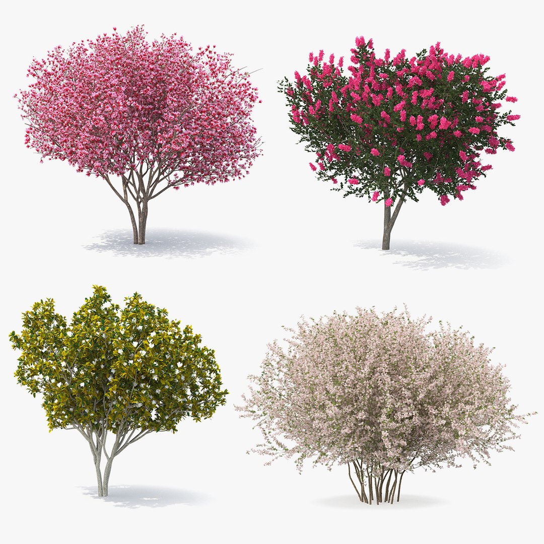 Flowering Bushes and Trees Collection 2 3D model preview