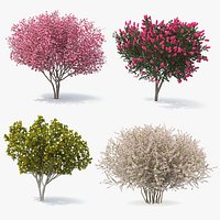 Flowering Bushes and Trees Collection 2