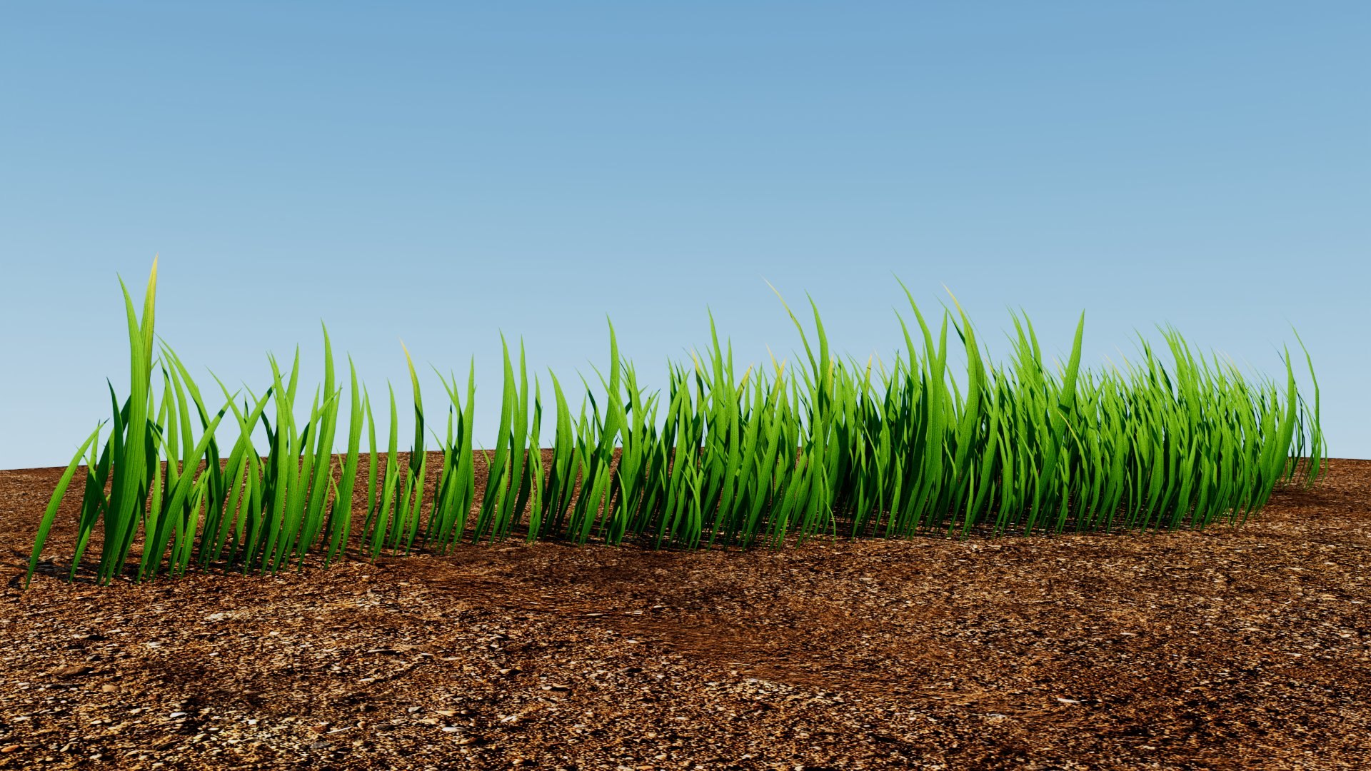 Grass 3D https://p.turbosquid.com/ts-thumb/Xv/et4ZTu/9Z/grass_05/jpg/1784934155/1920x1080/fit_q87/316e748e3e1f62316e3c2fc7af85af576a279a5e/grass_05.jpg
