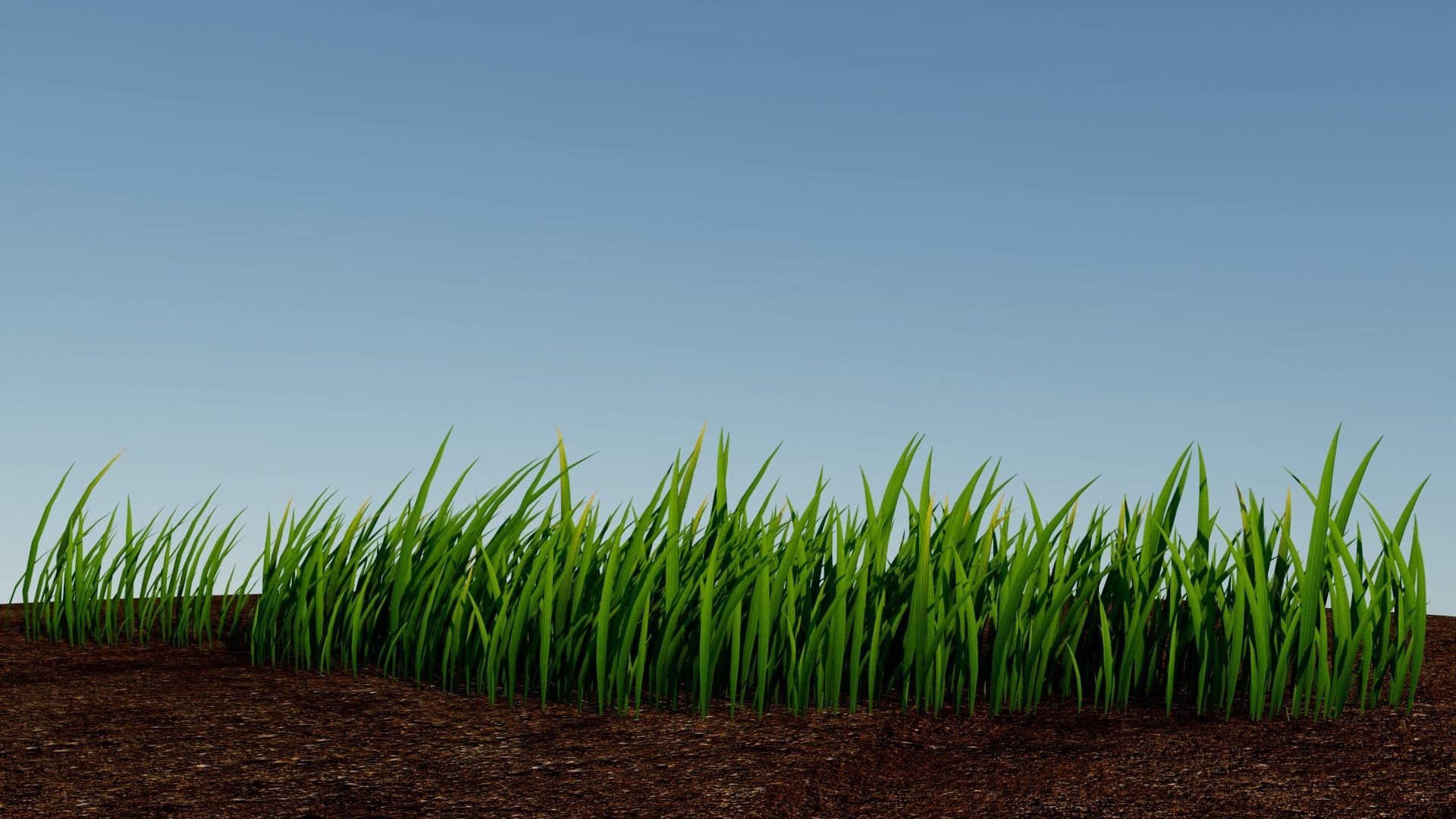 Grass 3D https://p.turbosquid.com/ts-thumb/Xv/et4ZTu/Hv/grass_01/jpg/1784934154/1920x1080/fit_q87/1fd3bb79f314d80d1b01366680f84106228e6c64/grass_01.jpg