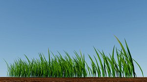 Grass 3D