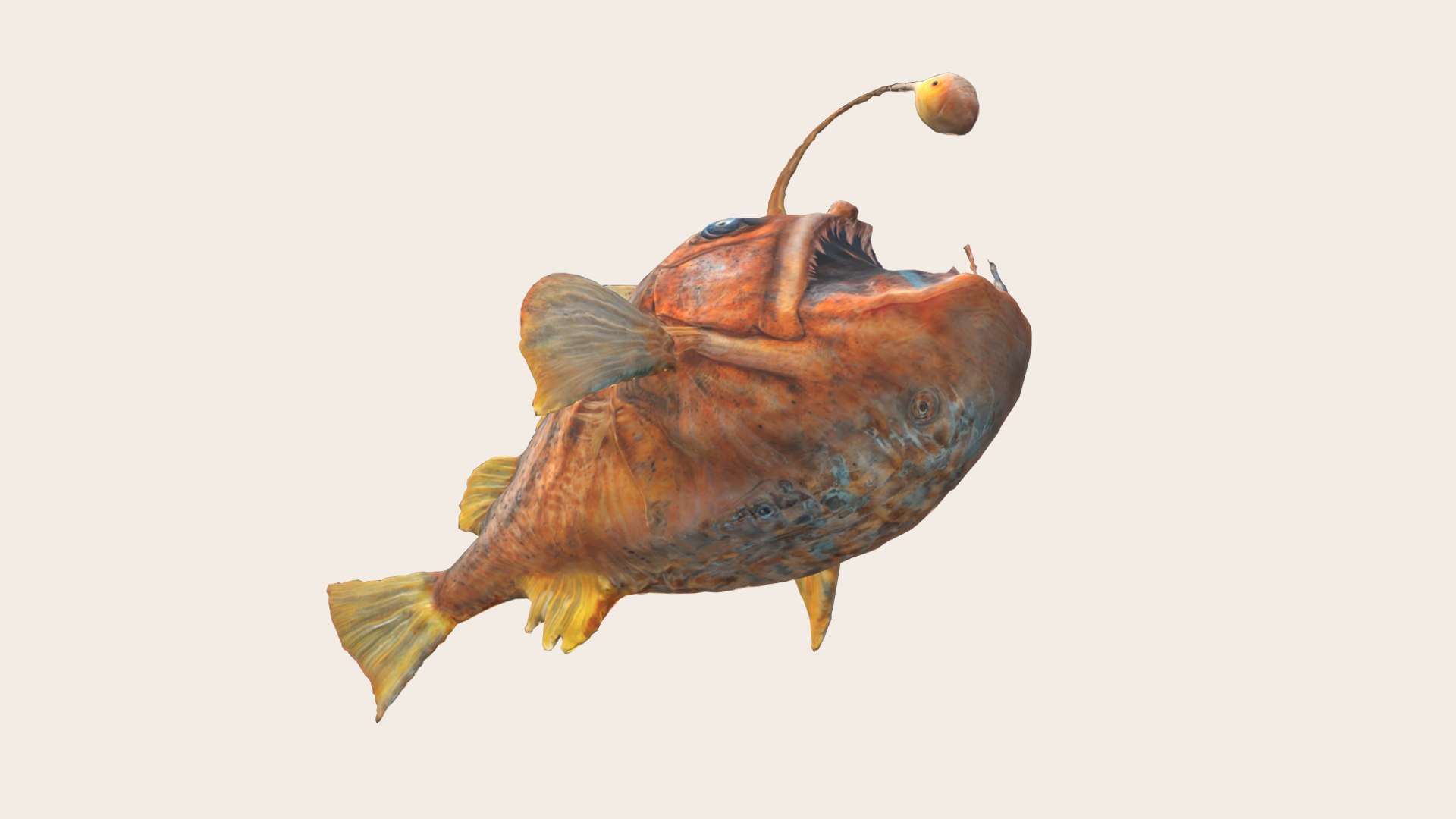 Anglerfish 3D Model - TurboSquid 2271845