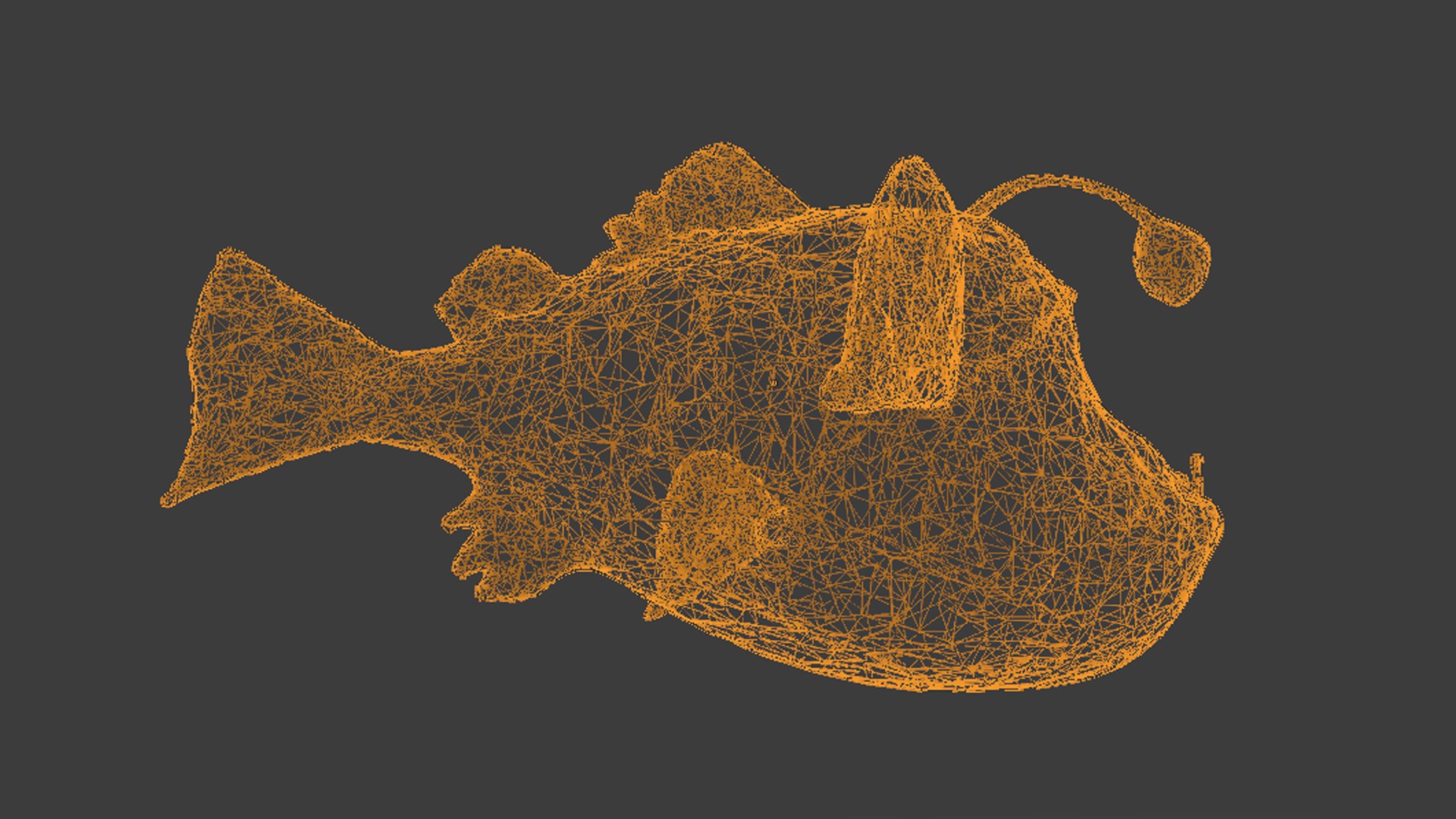 Anglerfish 3D Model - TurboSquid 2271845