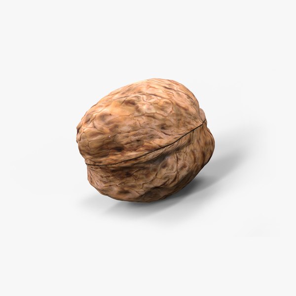 3D model walnut nut