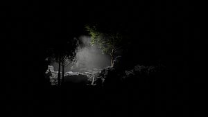 Rocks and Trees