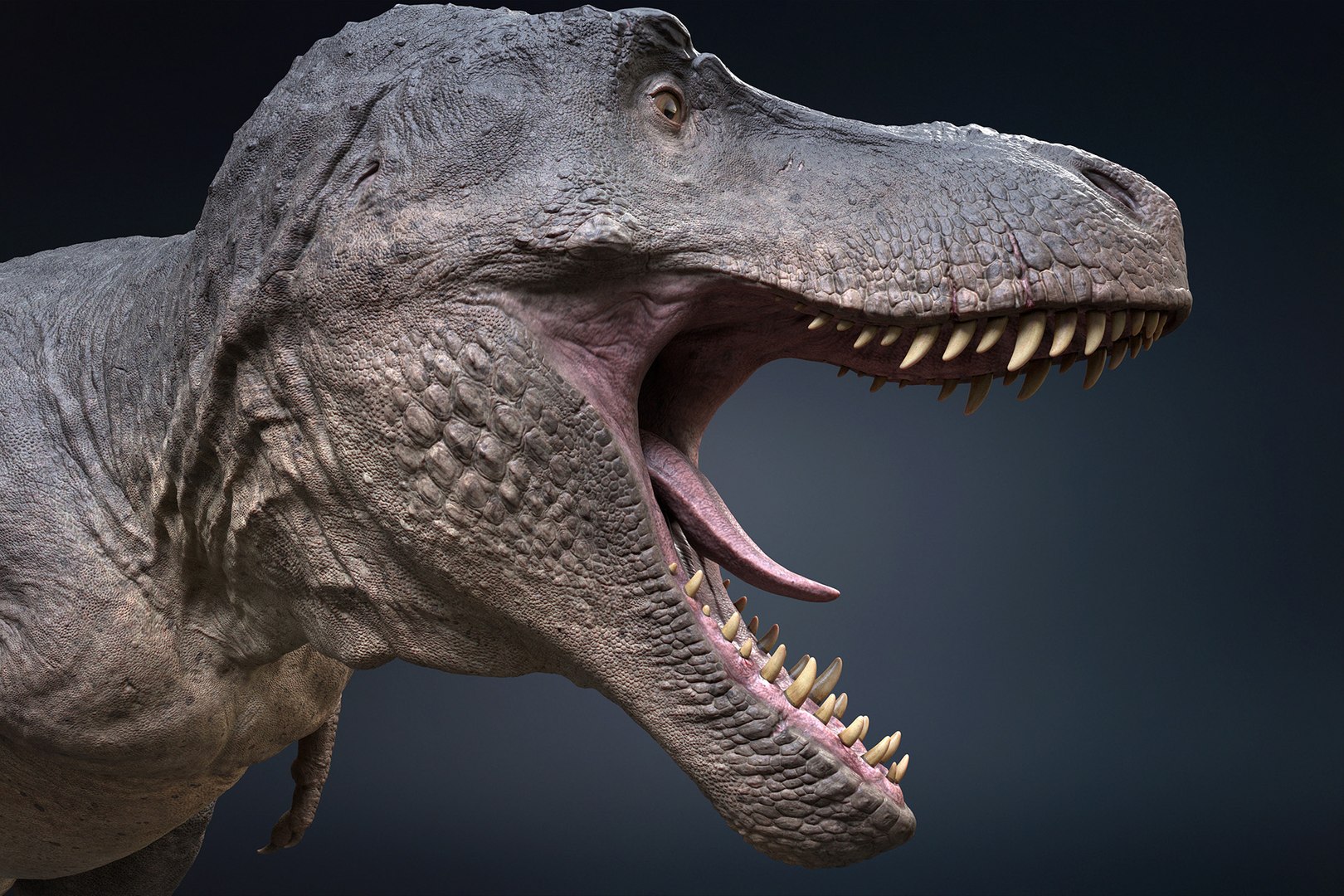 Tyrannosaurus Rex Rigged 3D - TurboSquid 1793355