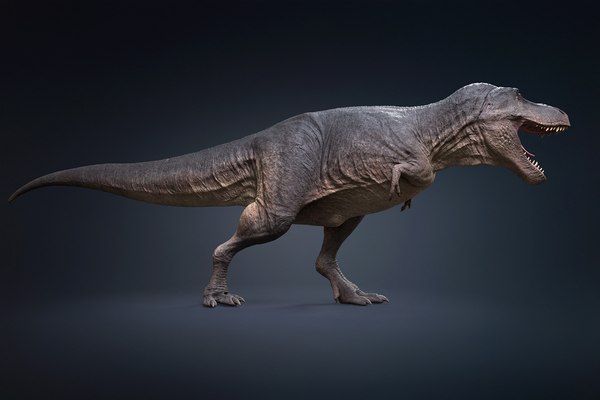 Tyrannosaurus Rex Rigged 3D - TurboSquid 1793355