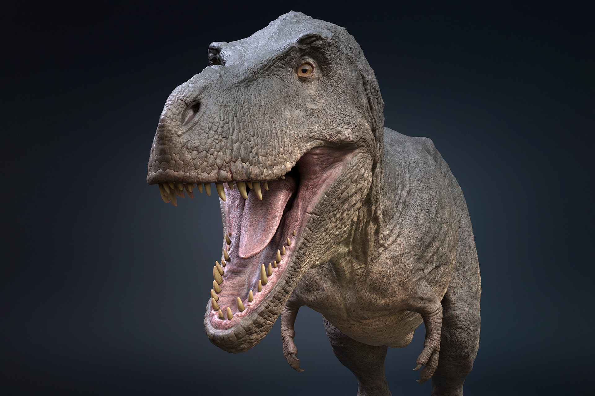 Tyrannosaurus Rex Rigged 3D - TurboSquid 1793355