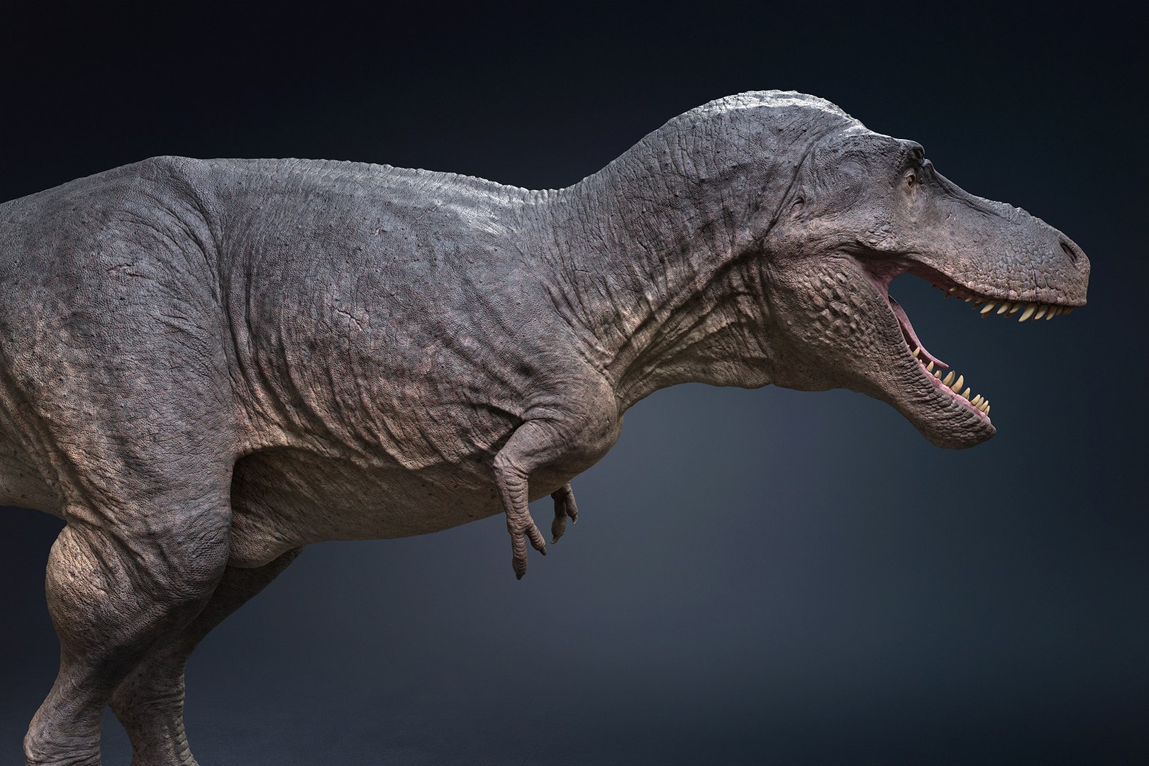 Tyrannosaurus Rex Rigged 3D - TurboSquid 1793355