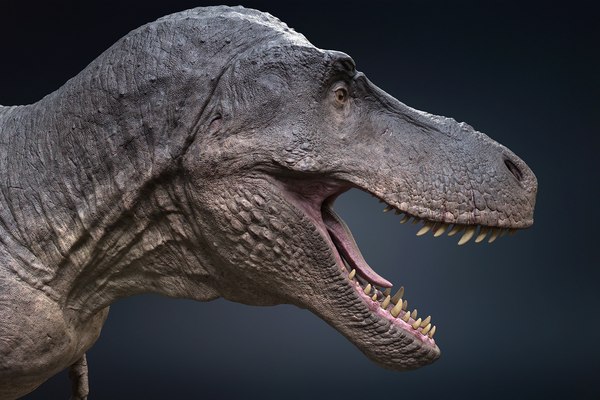 Tyrannosaurus Rex Rigged 3D - TurboSquid 1793355