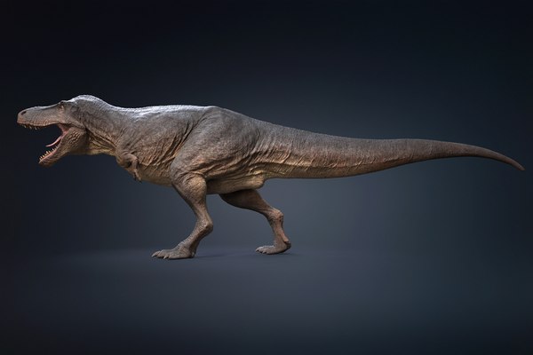 Tyrannosaurus Rex Rigged 3D - TurboSquid 1793355