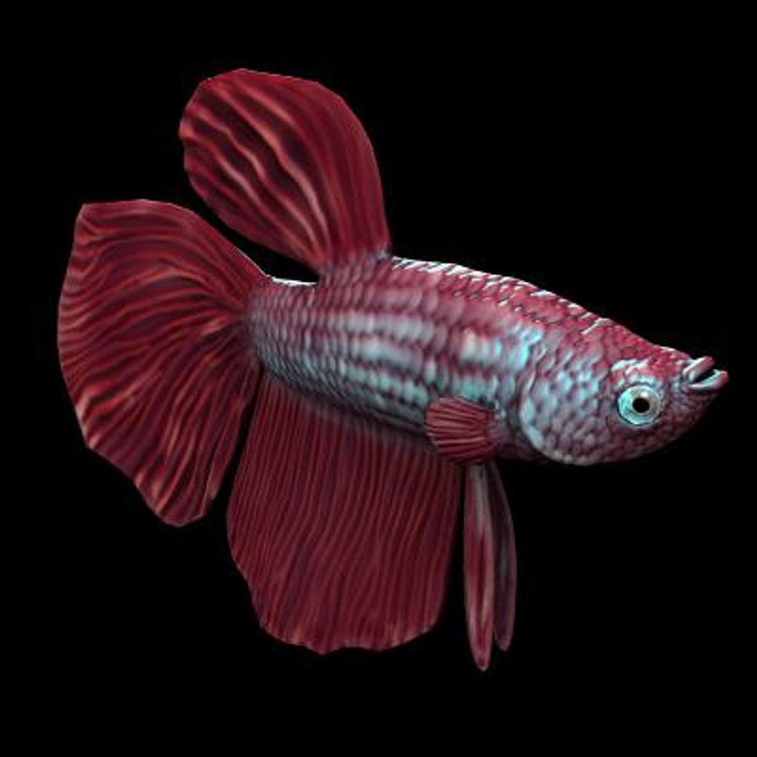 Obj Betta Res