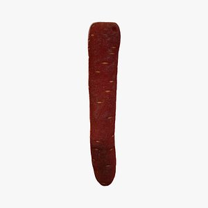 Anydrafts Daucus carota sativus 01 3D