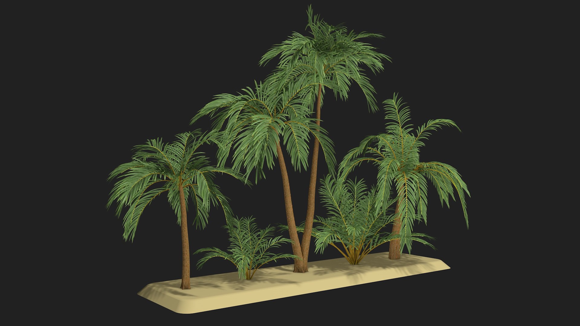 Five Palm Trees V2 3D Model - TurboSquid 2273823