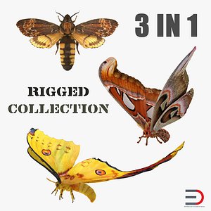 3D rigged moths