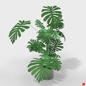 plant house 3d model