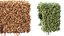 AV Plant Box Pittosporum Tobira Tenuifolium Shrub Buxus Semperviren Japanese Cheesewood