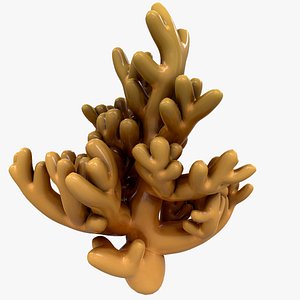modeled coral 3D