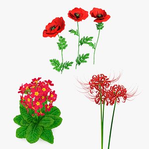 3D model Red Flowering Plants Collection