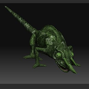 chameleon zbrush s 3d model