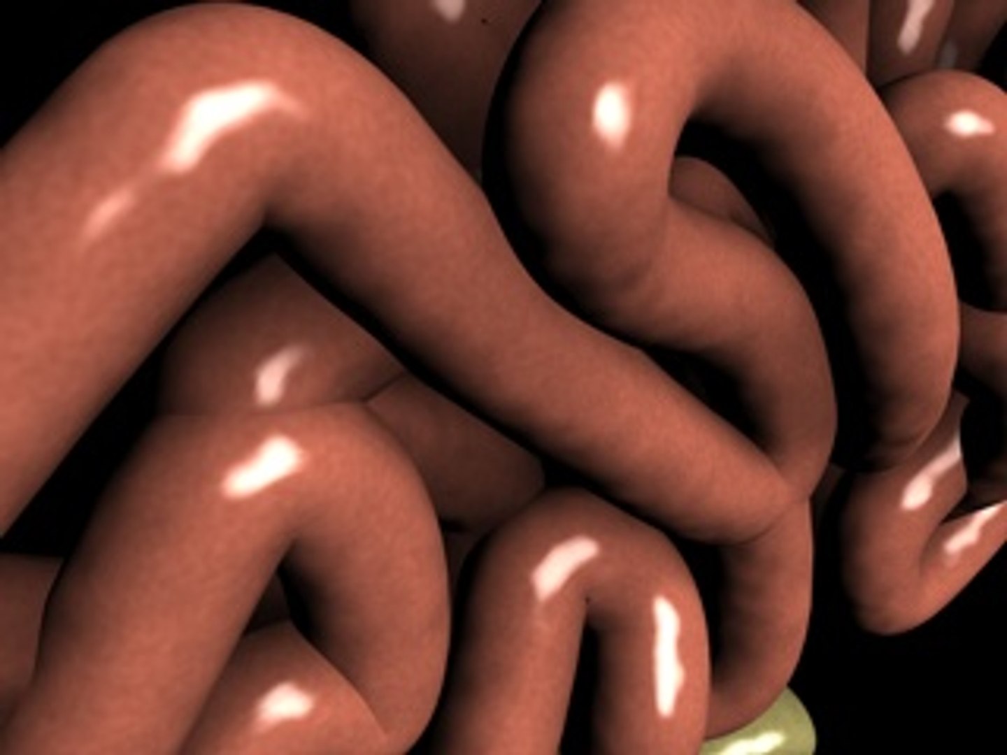intestines small 3d 3ds https://p.turbosquid.com/ts-thumb/Xx/4qC4fK/3borS28o/intestinescreenshot7/jpg/1210607509/1920x1080/fit_q87/39e4405ac5753a6607476f0cb5635b4ae3c552ca/intestinescreenshot7.jpg