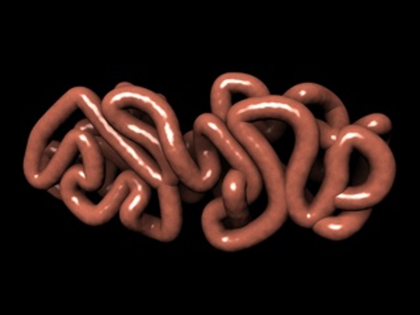 intestines small 3d 3ds https://p.turbosquid.com/ts-thumb/Xx/4qC4fK/63ytC9Gs/intestinescreenshot5/jpg/1210607502/1920x1080/fit_q87/f641c50f36dcfd993b8d2cbd3f902400eef3e0fe/intestinescreenshot5.jpg