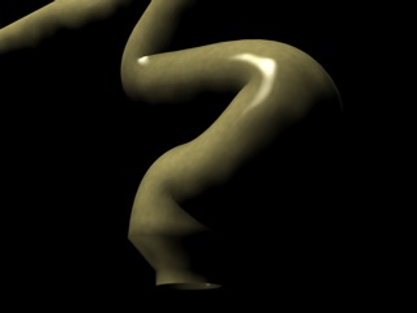 intestines small 3d 3ds https://p.turbosquid.com/ts-thumb/Xx/4qC4fK/A8h69Vly/intestinescreenshot9/jpg/1210607527/1920x1080/fit_q87/a9bc77120f0696fbc2435404f77e7e8120cf2805/intestinescreenshot9.jpg