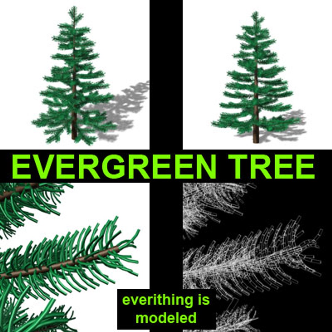 3ds evergreen tree