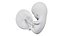 Fetus Anatomy Week 9 Static 3D model