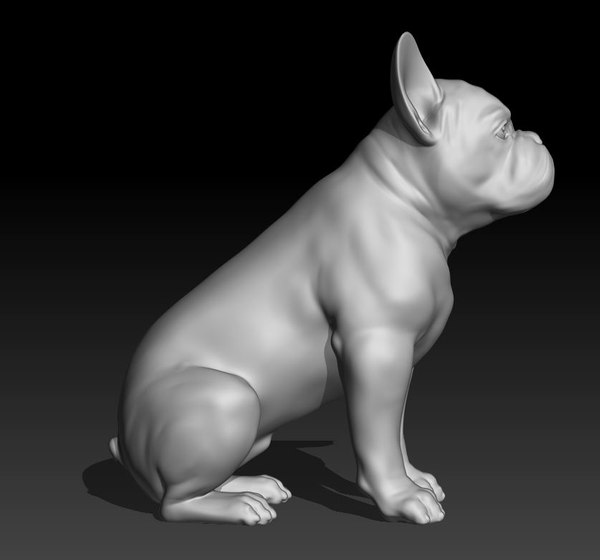 französische Bulldogge 3 3D-Modell - TurboSquid 1264785