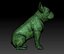 buldog francuski 3