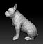 buldog francuski 3