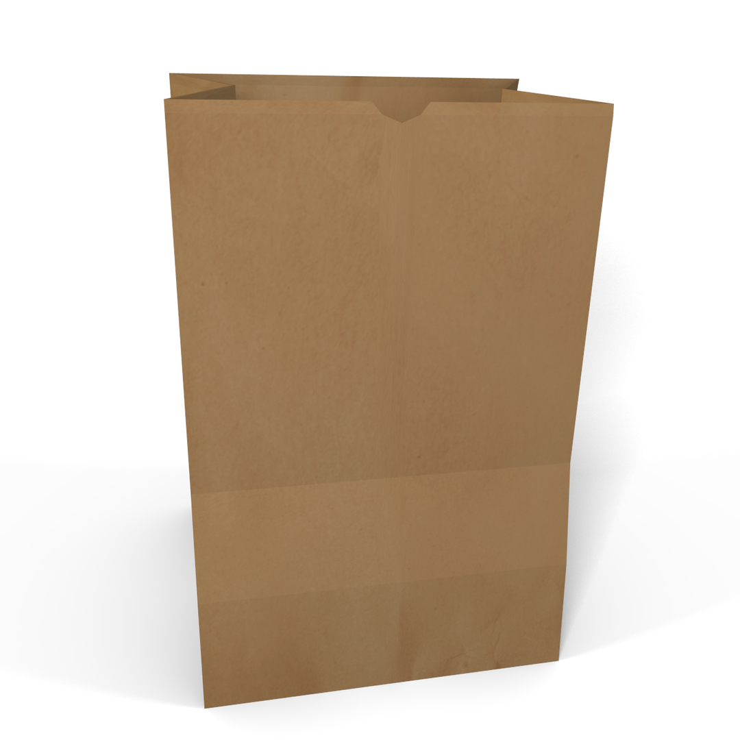 brown paper bag 3d model