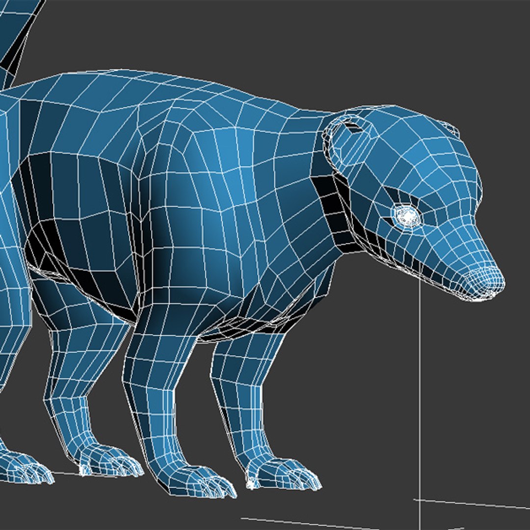 3dsmax white stripes skunk https://p.turbosquid.com/ts-thumb/Xx/OhyOaf/ApD0JJsq/skunk91/jpg/1323018366/1920x1080/fit_q87/1bef43b600f50023e9bde37686df03e9c707fe90/skunk91.jpg