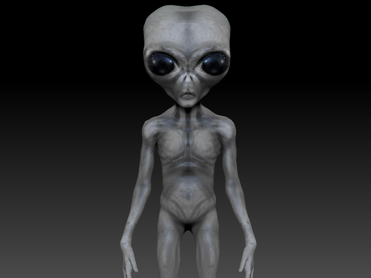 Grey Alien Remastered Area-51 3D Model - TurboSquid 1255670