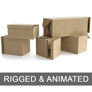 set rigged boxes - model