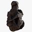 Rock